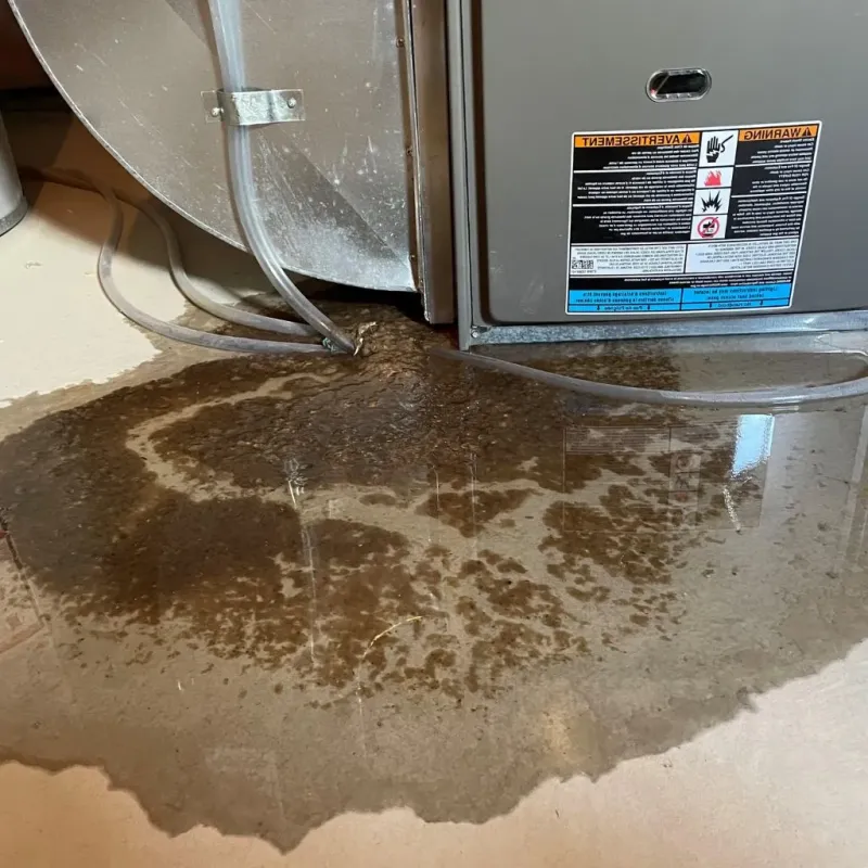 Pipe Burst and Leak Restoration in Estancia, NM