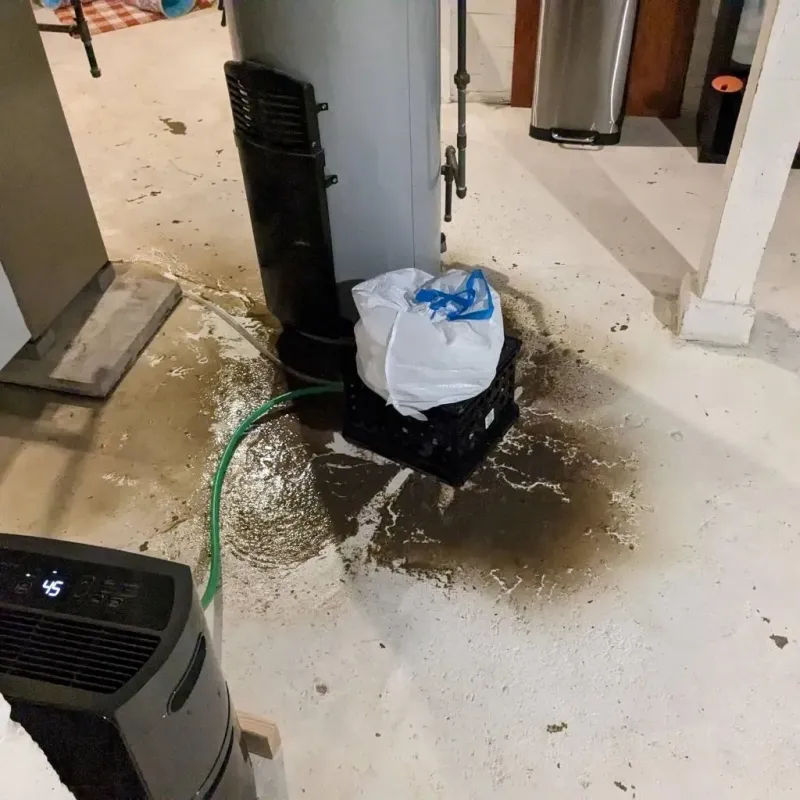Sewage Backup Cleanup Service in Estancia, NM